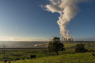 Wholesale power prices rise sharply across Australia after cold snap but Queensland bucks trend