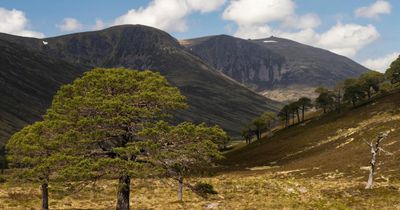 Plans for holiday cabin complex in Scottish national park rejected by government