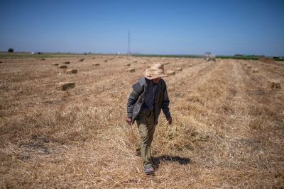 Climate change imperils drought-stricken Morocco’s cereal farmers and its food supply