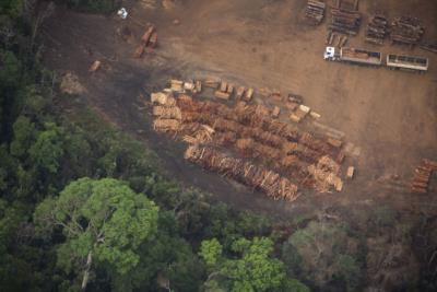 Brazil Announces Plan To Expand Selective Logging In Amazon