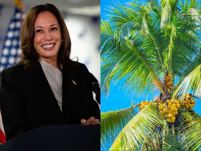 Why is Kamala Harris being associated with a coconut tree?