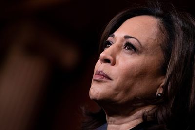Kamala Harris is the 'perfect' candidate to beat Trump, presidential historian says
