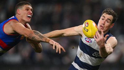 Revitalised Geelong still in contention: Cameron