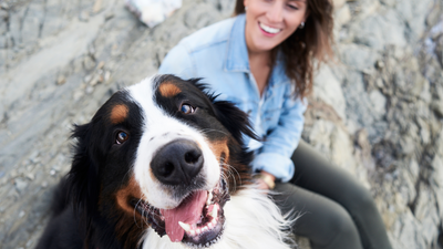 Want to improve your dog’s behavior? This one simple tip will change everything