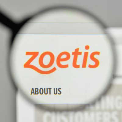 Zoetis Earnings Preview: What to Expect