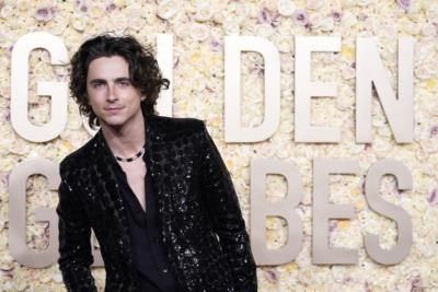 Timothée Chalamet To Star As Bob Dylan In Biopic