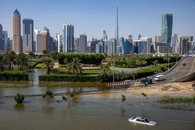 Floods and climate change blamed for surge in dengue in the Emirates as WHO warns of global spike