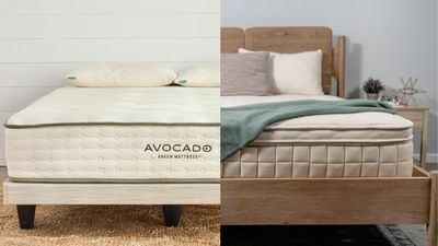 Avocado Green vs Naturepedic Concerto mattress: Which organic latex hybrid is best for your sleep?