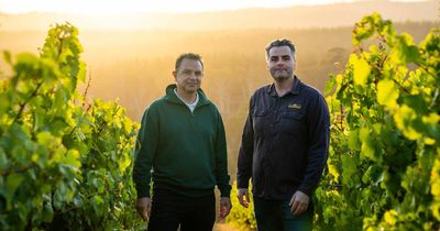 Winery marks 50-year love affair with Tassie's cool character