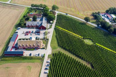 Sweden Seeks To Be Winemaking's Next Frontier