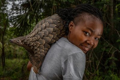 ‘They are so handsome’: the unusual day in the life of a pangolin carer