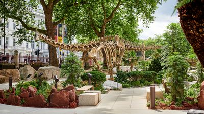 Tour the Natural History Museum’s new gardens, a Jurassic lark in London