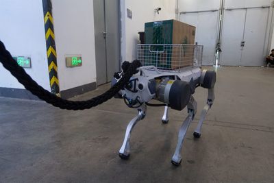 Add robotic dogs to the Department of Homeland Security’s roster