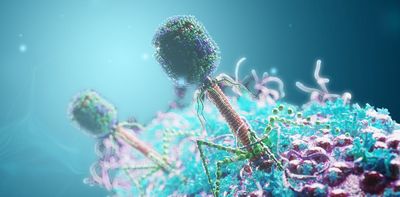 The human virome: why viruses could be as important for good health as gut bacteria