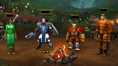 WoW players are already using the new Warbands system for its true purpose: Memes and transmog flexing