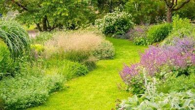 How to fix a waterlogged lawn — 5 steps for rescuing your yard