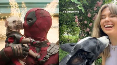 $500 Is Up For Grabs If You Take A Pic Of Your Dog At These Deadpool & Wolverine Photo Ops