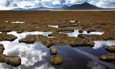 Northern Scotland’s Flow Country becomes world heritage site