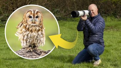 Get better bird photos with Canon's RF 200-800mm super telephoto lens