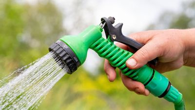 Which garden hose spray pattern is best? We reveal the best function for every corner of your yard