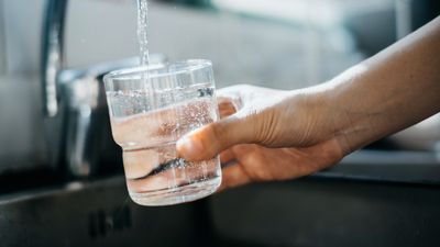 Can you get a brain-eating amoeba from tap water?