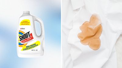 This one-product stain removal method is going viral on TikTok — see the $6 buy that will save your clothes