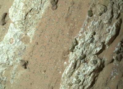 NASA Mars Rover Captures Rock That Could Hold Fossilized Microbes