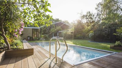 Pool planting ideas – 5 inspiring ways to create your very own backyard oasis