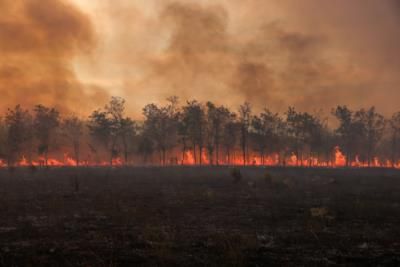 Wildfires Ravage Western US And Canada