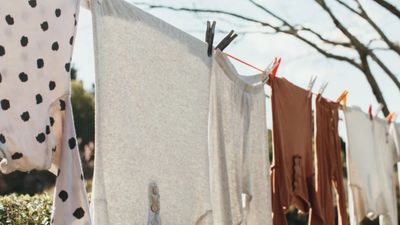 How to make the most out of the space on your outdoor clothesline – 6 simple tips