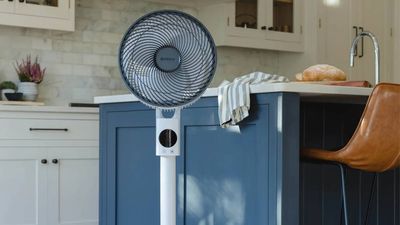 Fans vs Air Circulators: what’s the difference and which is the best for cooling?