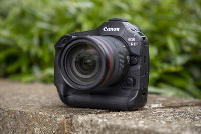 The Canon R1 has one feature I don't agree with (but it's perfect for the R5 Mk II)