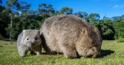 Ask Fuzzy: What's in soil and why is it vital for our survival?