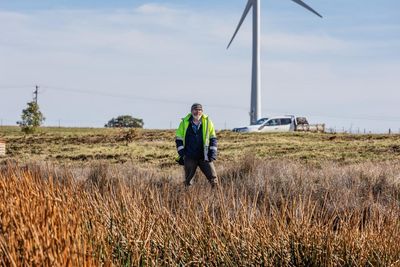 ‘It doesn’t need to be one or the other’: balancing brolgas and windfarms in Victoria