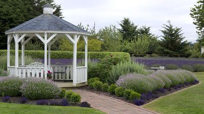 Best base for a gazebo – landscaping experts reveal their top tips for your garden structures