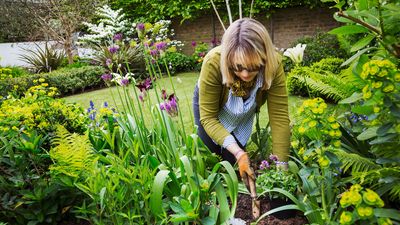 7 cheap landscaping ideas that will transform your yard, according to design experts