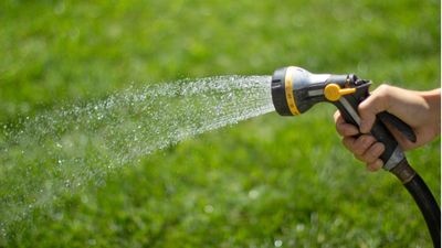 How long to water a lawn, according to pro gardeners