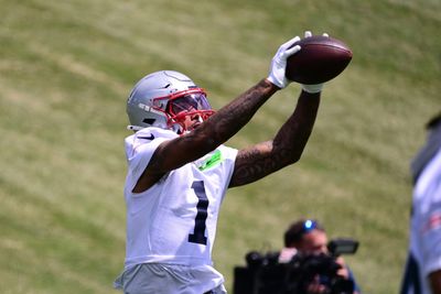 Can fantasy gamers find value among Patriots WRs?