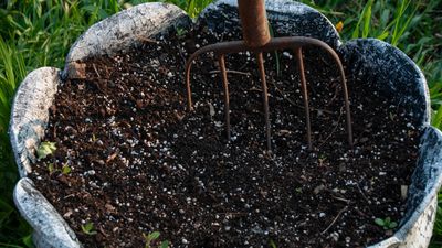 Can potting soil catch fire? As temperatures rise, there are fire risks to consider