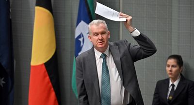 Tony Burke wins Home Affairs