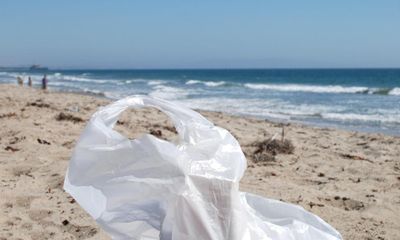 Number of plastic bags found on UK beaches down 80% since charge introduced