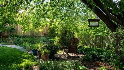 Shade Garden Ideas — 14 Ways to Transform Backyards With Limited Sunlight