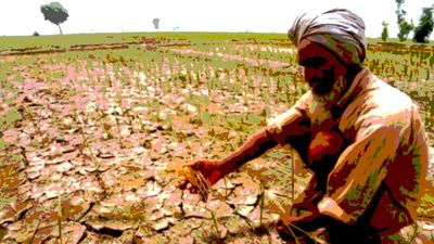 Union budget shows Modi government is indifferent to farmer distress