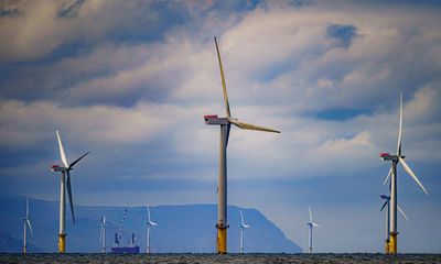 Labour must speed up wind power expansion or miss targets, says renewables industry