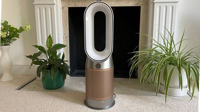 I would never normally spend £600 on an air purifier, but the Dyson Purifier Hot + Cool has me convinced