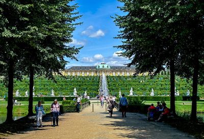 Germany's Sanssouci Park seeks solutions as its trees struggle with climate change