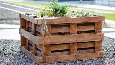 DIY raised garden bed alternatives – 5 items to repurpose for a container gardening solution