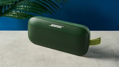 Bose SoundLink Flex review