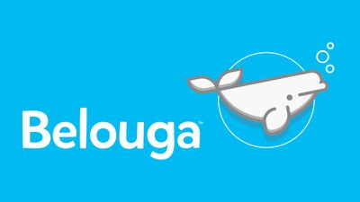 Belouga: How to Use It to Teach