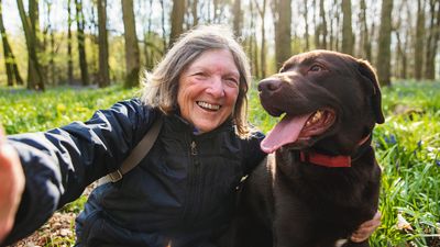 Dogs work together to save elderly woman with dementia who went missing in Utah mountains